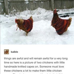 Meet your Posher, Flor