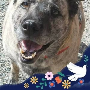 Meet your Posher, Sandy