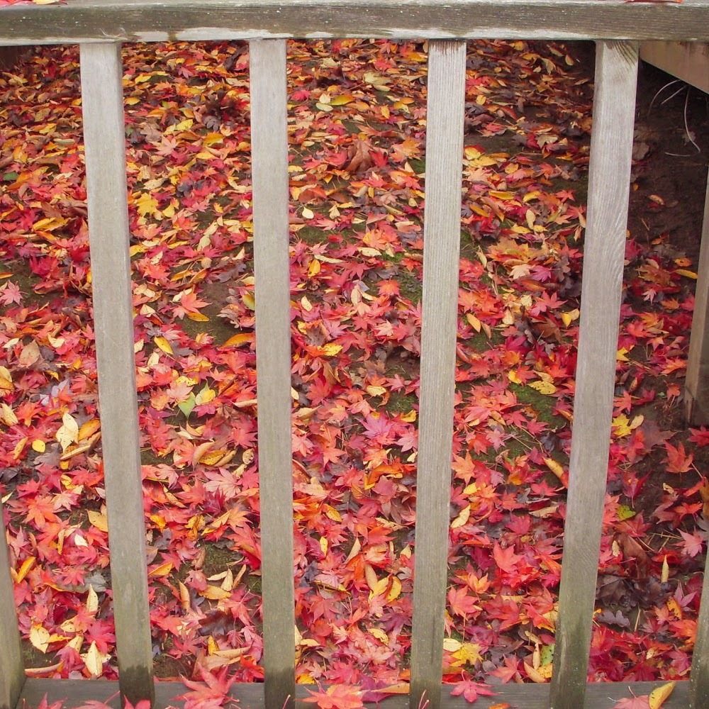 Meet your Posher, Jeannie