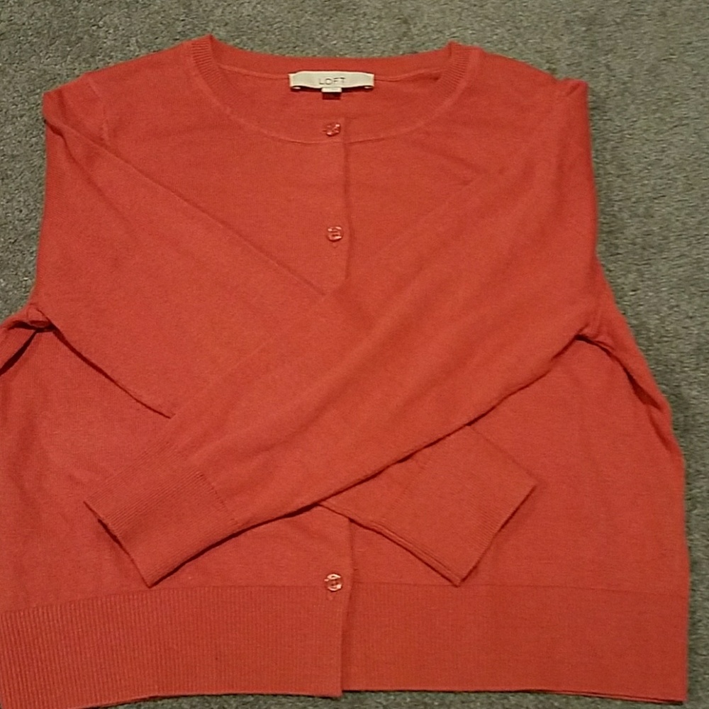 Loft Fall Sweater - Picture 2 of 3