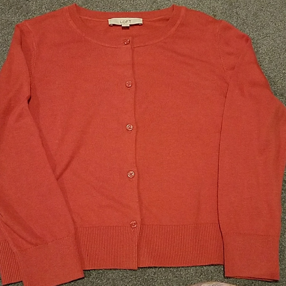 Loft Fall Sweater - Picture 3 of 3