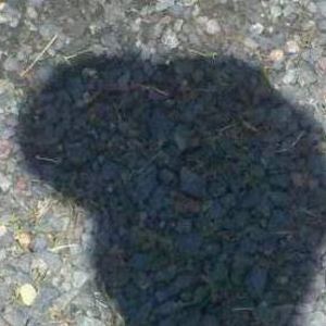 Meet your Posher, Nathan