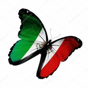 Meet your Posher, Rosa idalia