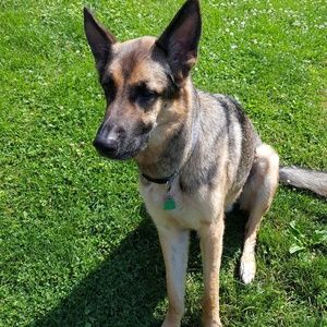 Meet your Posher, Josephine