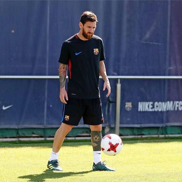 Meet your Posher, Dikembe - Picture 1 of 1