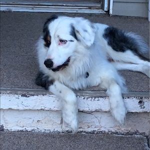 Meet your Posher, Nick