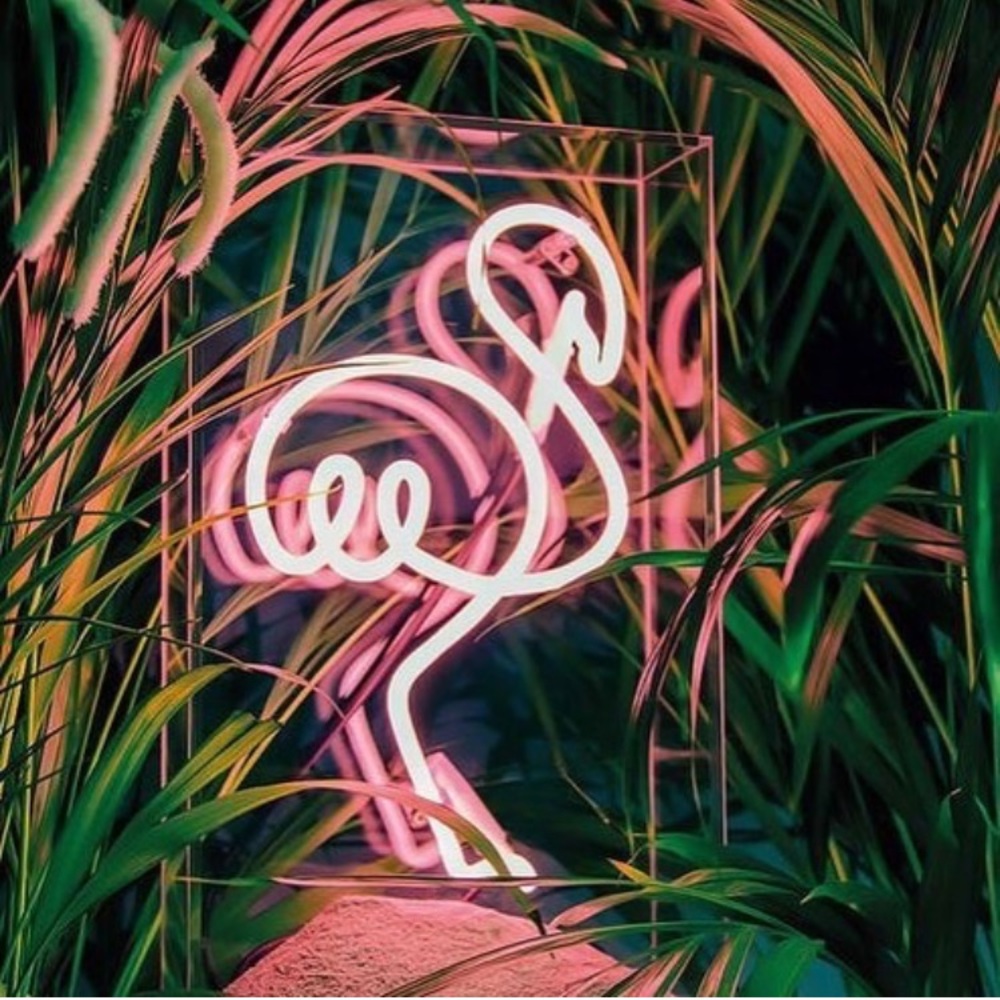 Meet your Posher, Camila