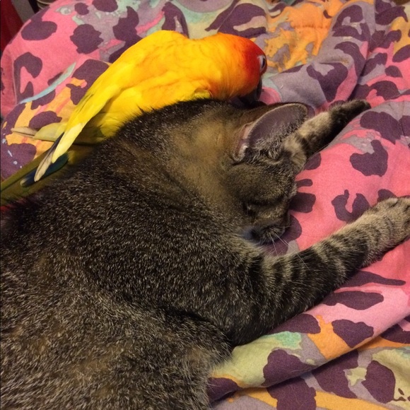 Meet your Posher, Kellie - Picture 5 of 8