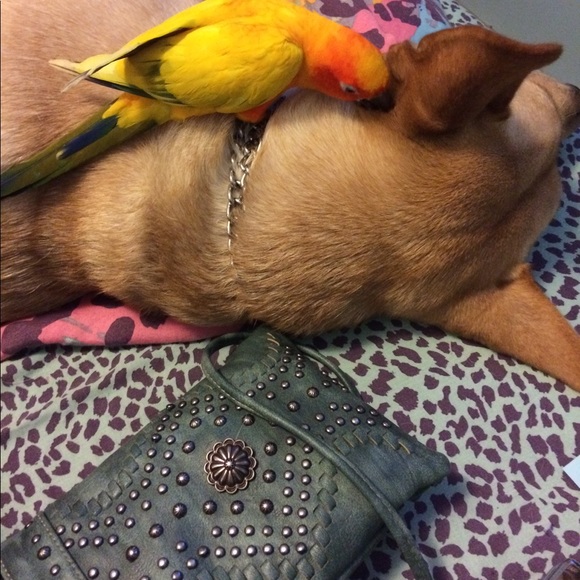 Meet your Posher, Kellie - Picture 6 of 8