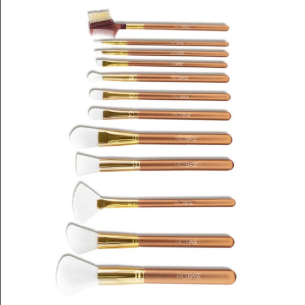 FaceBase Professional 12 Piece Brush Set