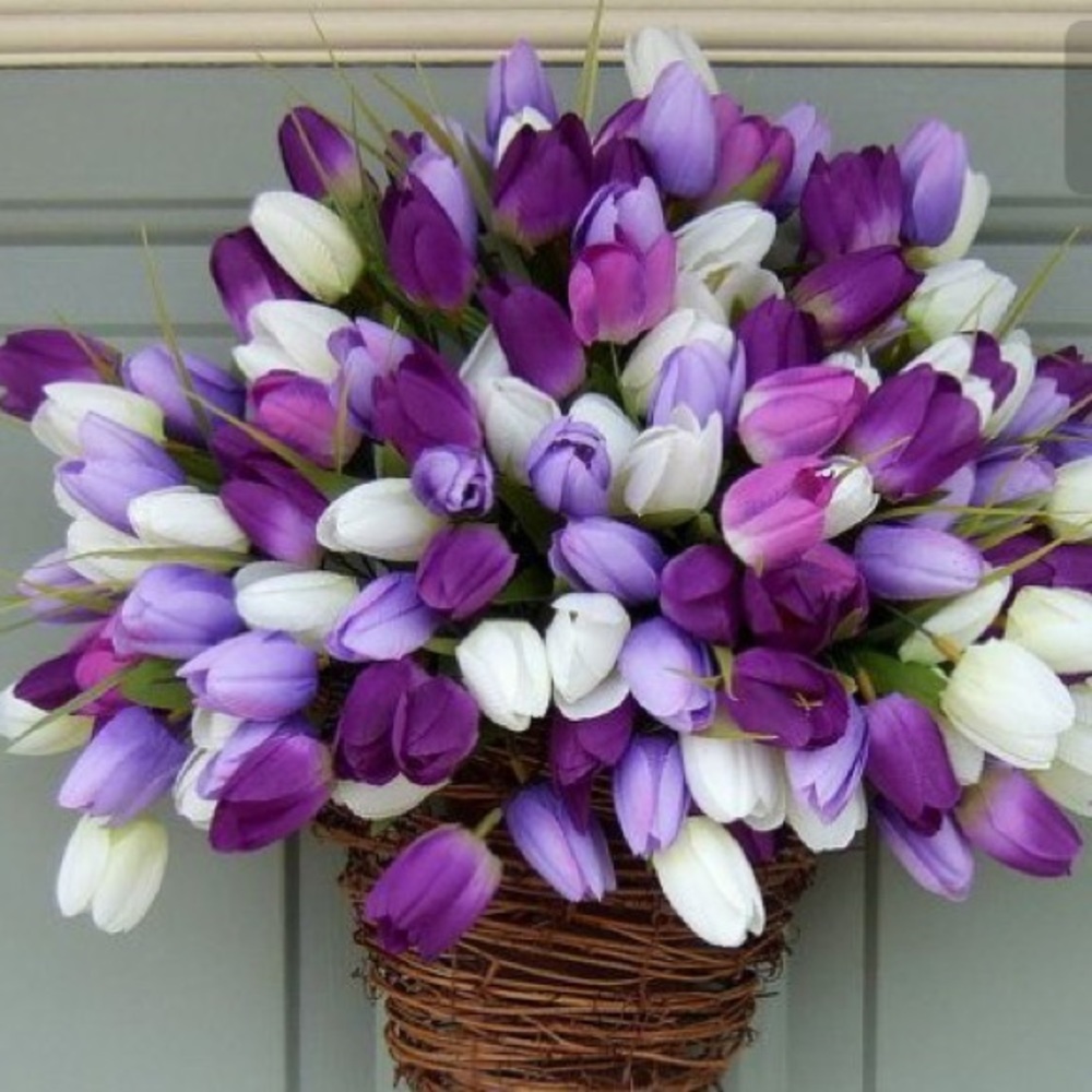 Meet your Posher, Lesa