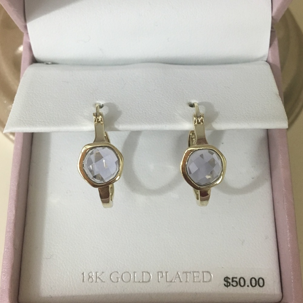 ✨18K Gold Plated Hoop Earrings✨