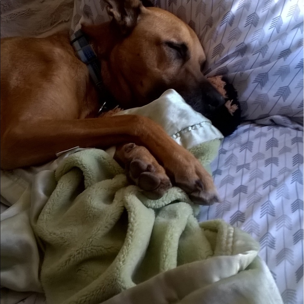 Meet your Posher, Deb