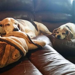 Meet your Posher, Tina