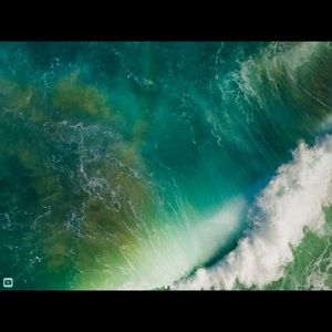 Meet your Posher, Maggie