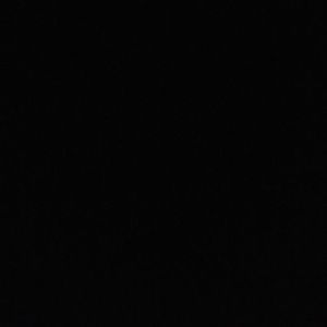 Meet your Posher, Dani