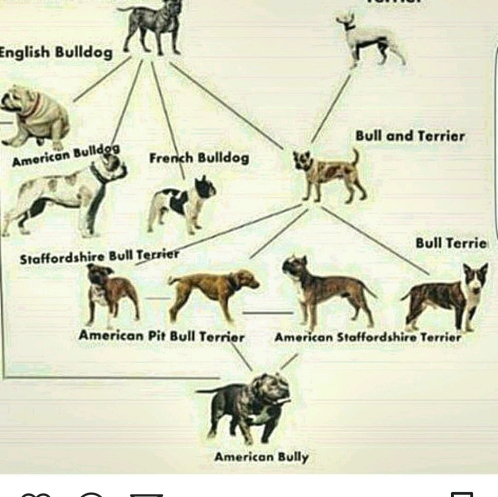 Meet your Posher, Marwin