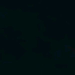 Meet your Posher, Terrell