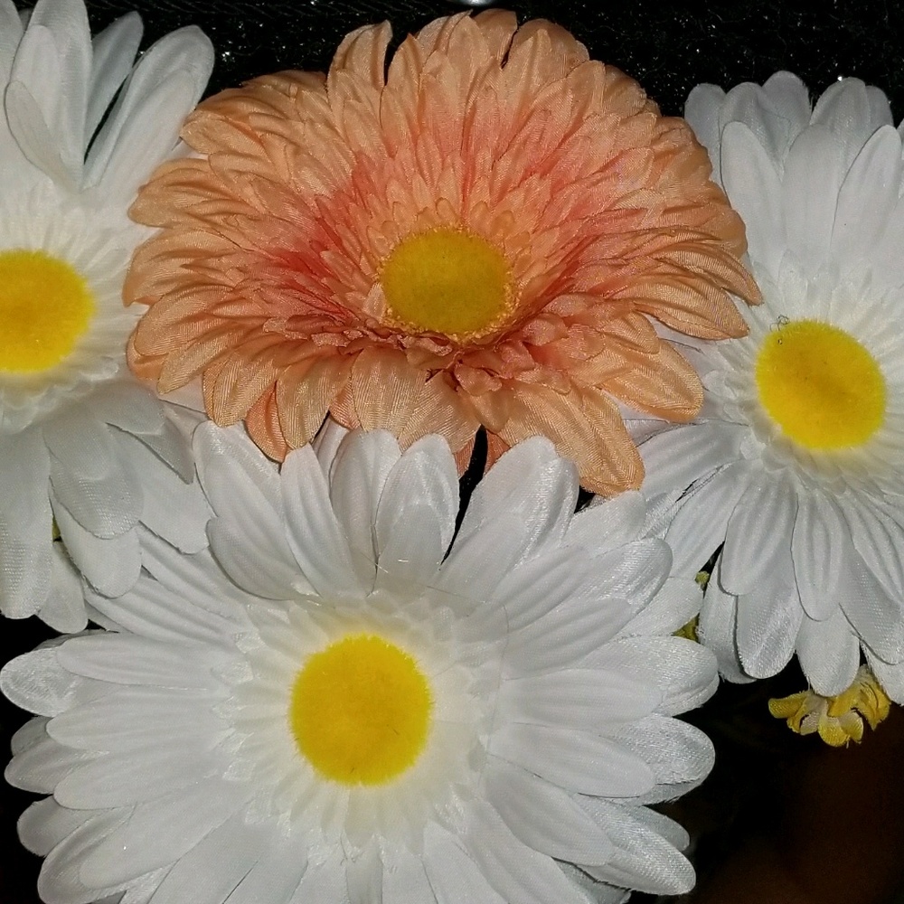 Meet your Posher, Perla