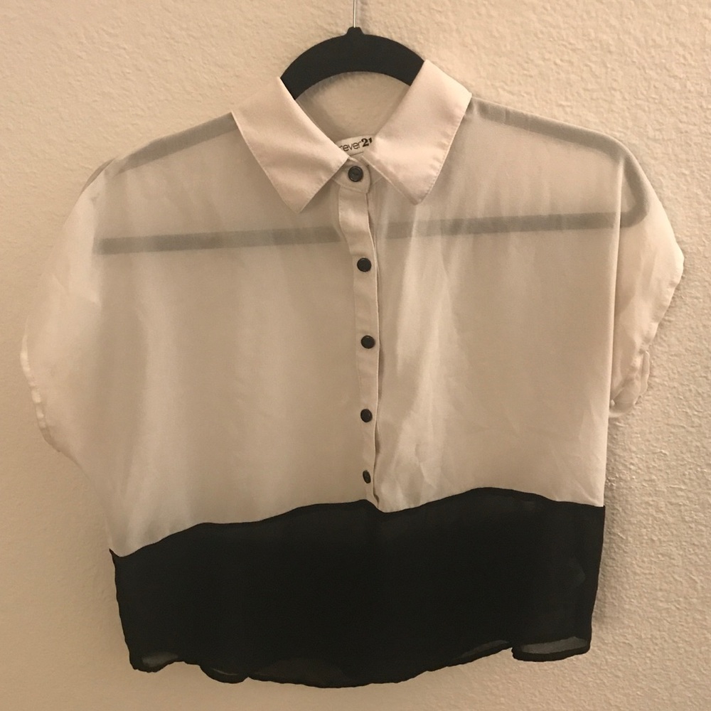 Black and White Short Sleeve Collar Sheer Blouse
