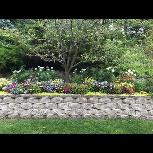 Meet your Posher, Noel