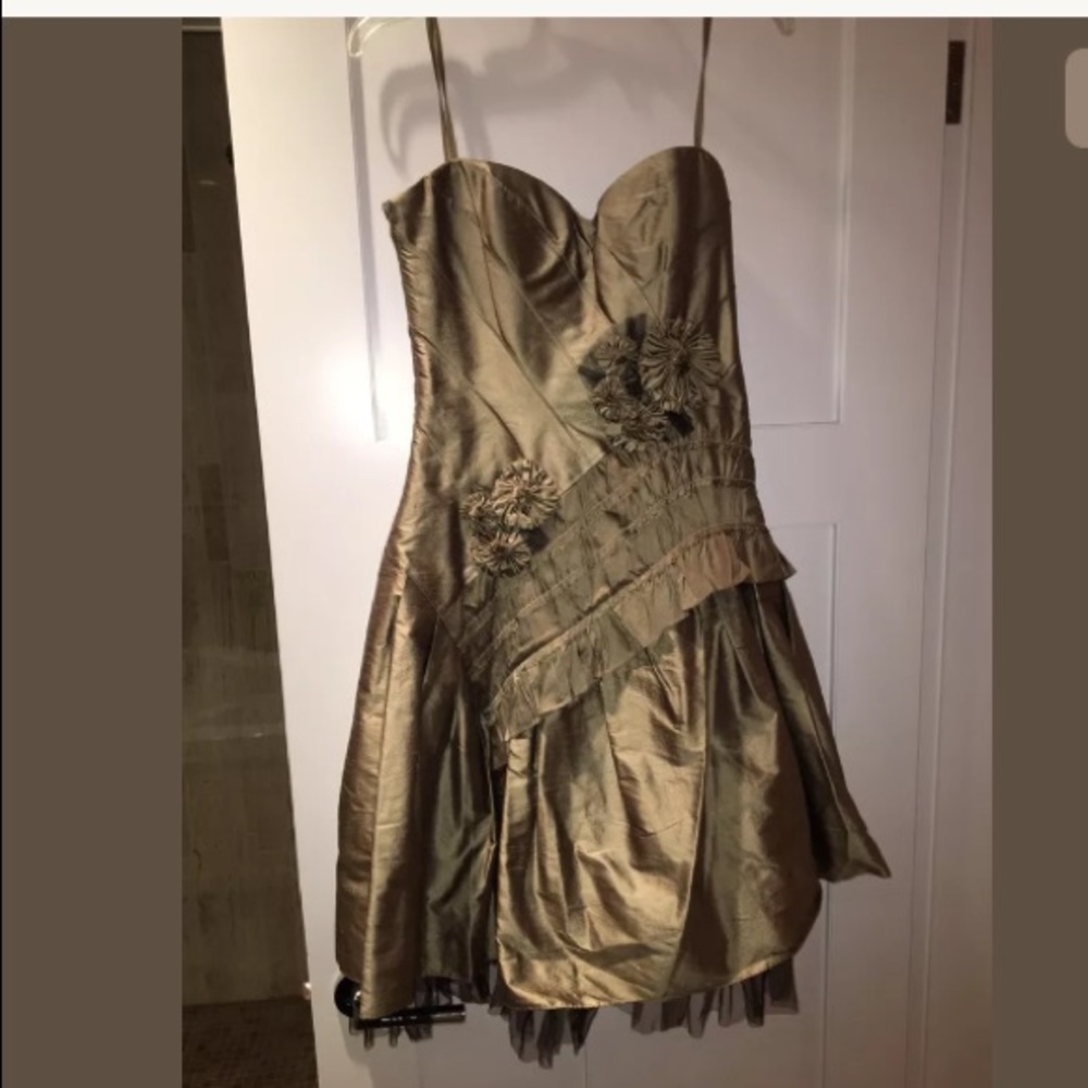  BCBG Olive Green Silk Tulle Hoco Prom Dress 8