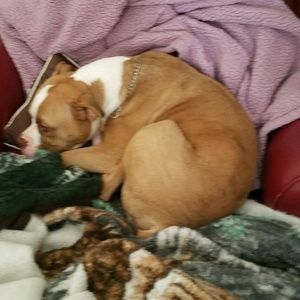 Meet your Posher, Michele