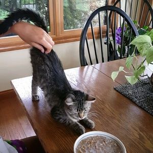 Meet your Posher, Julie