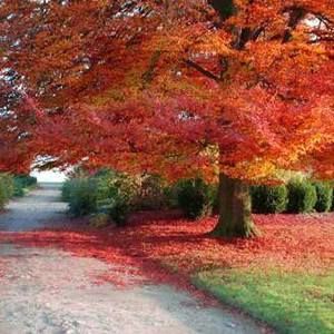 Meet your Posher, Maddy