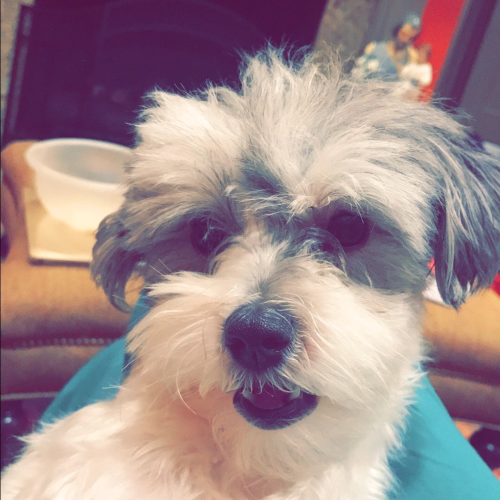 Meet your Posher, Olivia