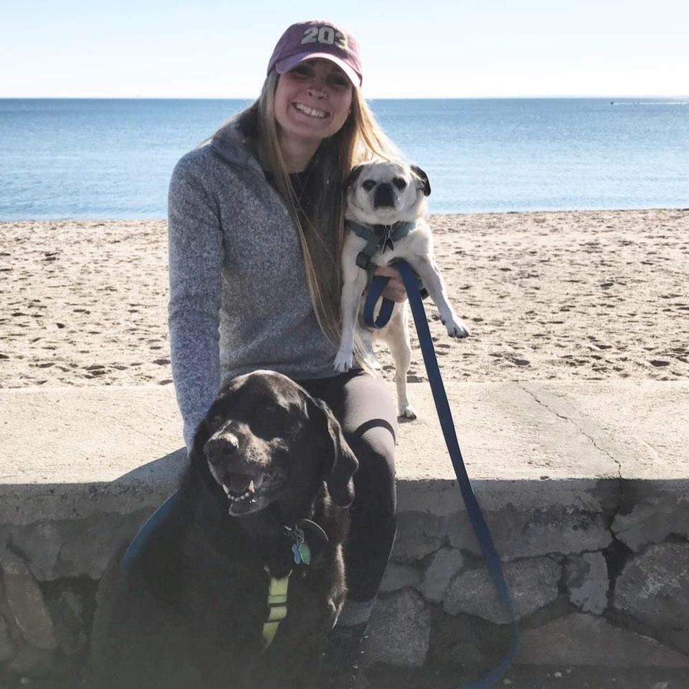 Meet your Posher, Phoebe