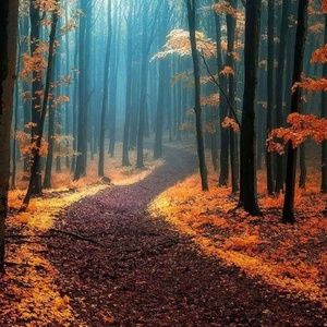 Meet your Posher, Dominique