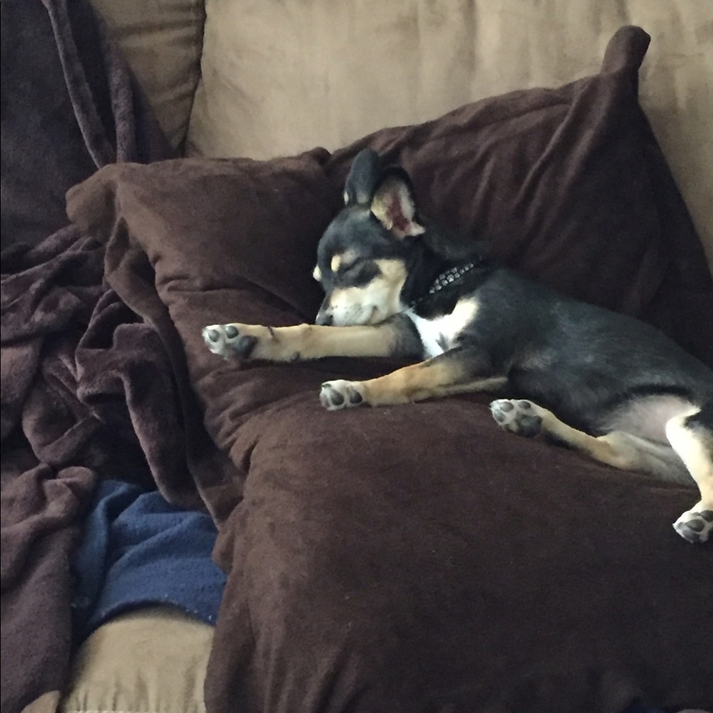 Meet your Posher, Tracey