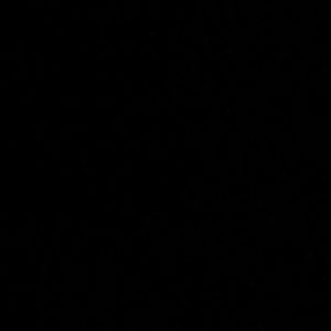 Meet your Posher, Diego