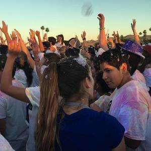 Meet your Posher, Brooke-lynn