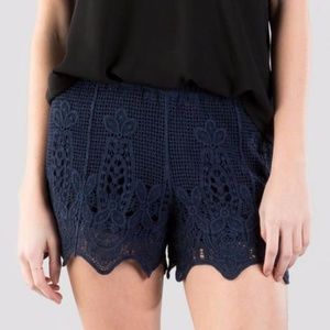 Francesca's | Navy Lace Shorts