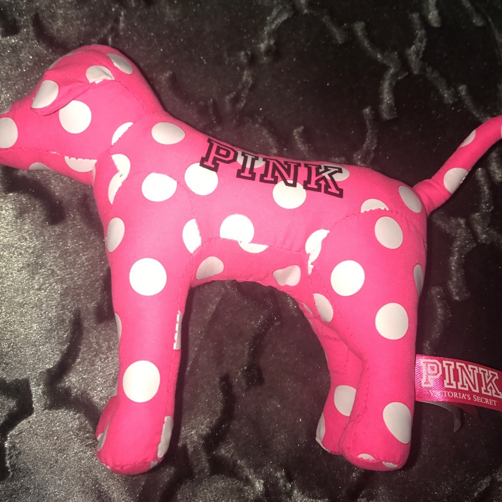 VS Pink Dog