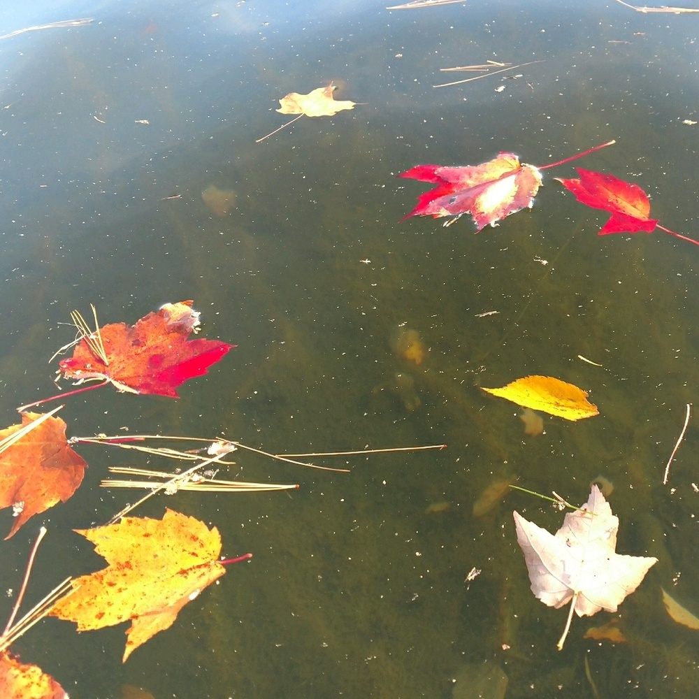 Meet your Posher, Kathleen