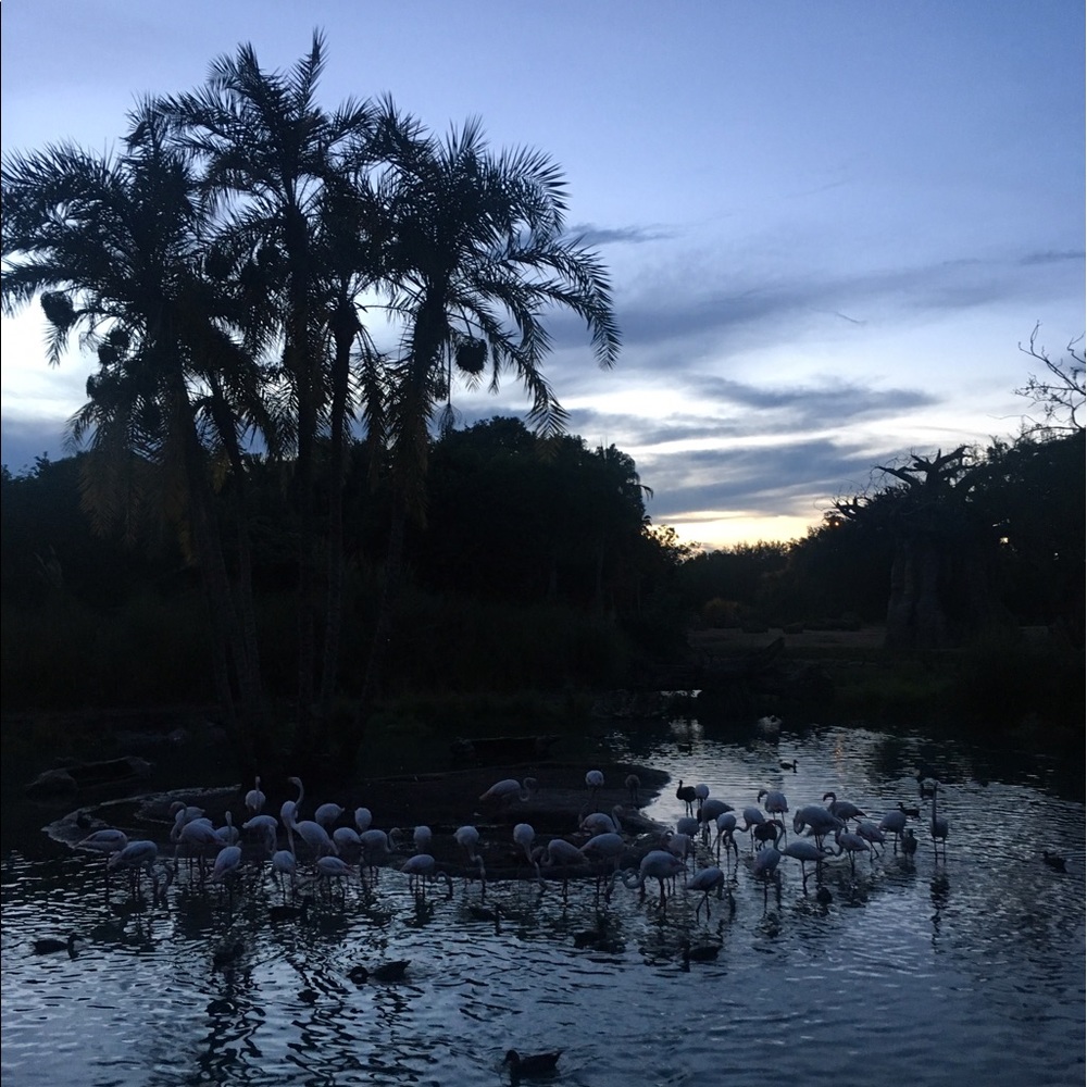 Meet your Posher, Hailey