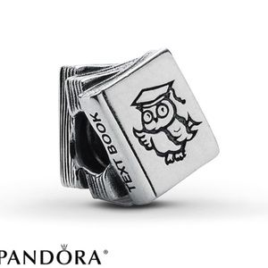 Sterling silver Textbook Pandora bead