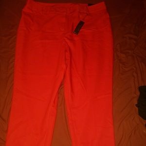 Lane Bryant Dress Pants