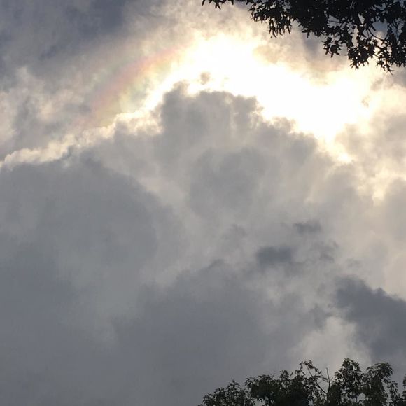 Meet your Posher, Amber - Picture 1 of 1