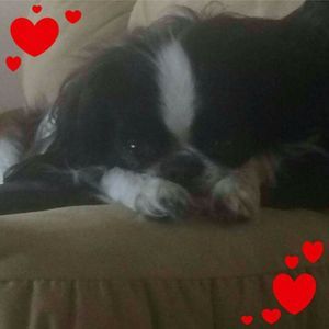 Meet your Posher, Denise