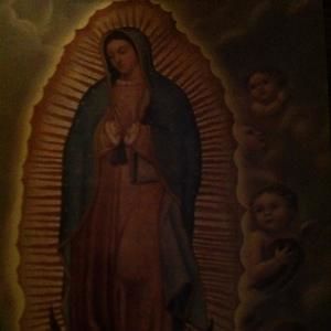 Meet your Posher, Irma