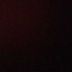 Meet your Posher, Destiny