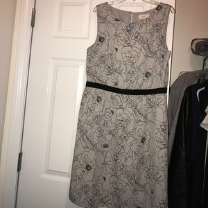 Women's Dress/Loft/Medium Women's Dress/Loft/Medium