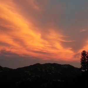 Meet your Posher, Ballington