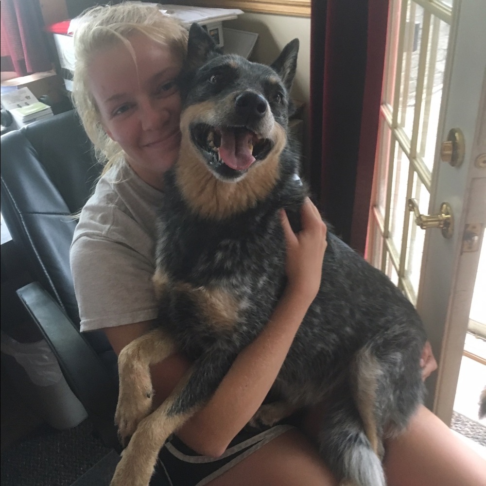 Meet your Posher, Cheyenne