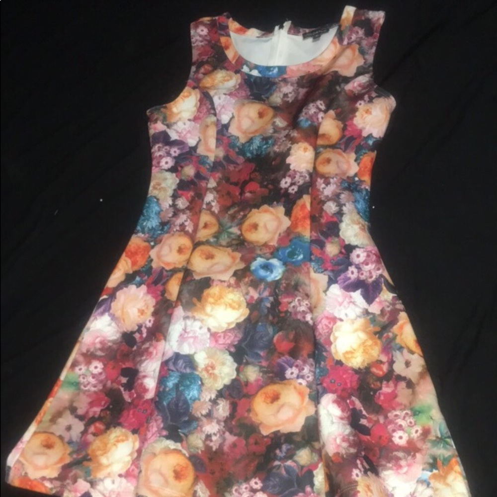 Multicolored Skater Dress