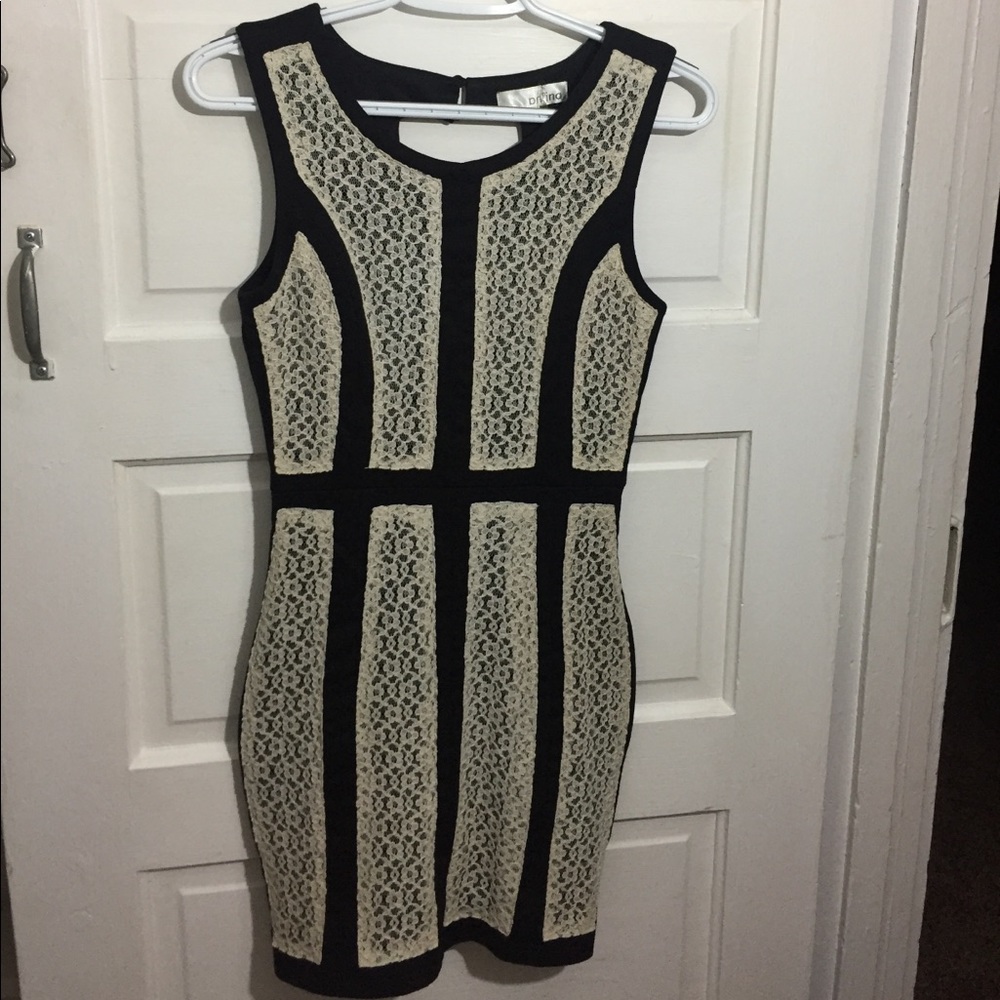 Pniina lace paneled dress
